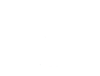 TLH 200 Trees Committee
